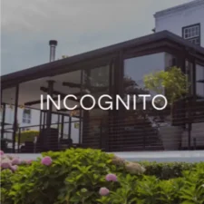 Incognito Incognito